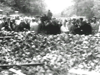 261